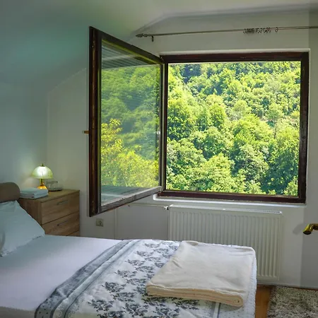 Vip Foca, Foca, Foca