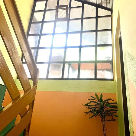 في آي بي روومز فوكا