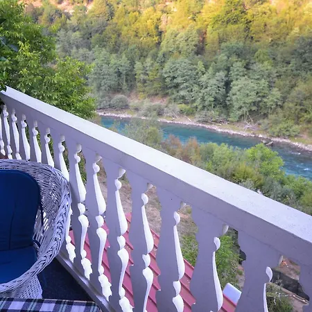 Vip Foca, Foca, Foca