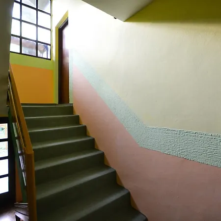 Vip Foca, Foca, Orman Evi *