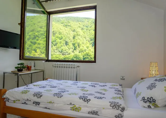 Vip Foca, Foca, Foca