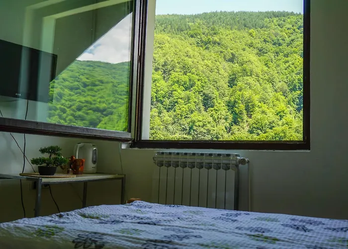 Vip Foca, Foca, * Foca