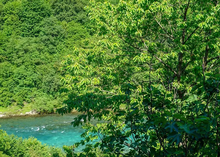 Vip Foca, Foca, Lodge Foca