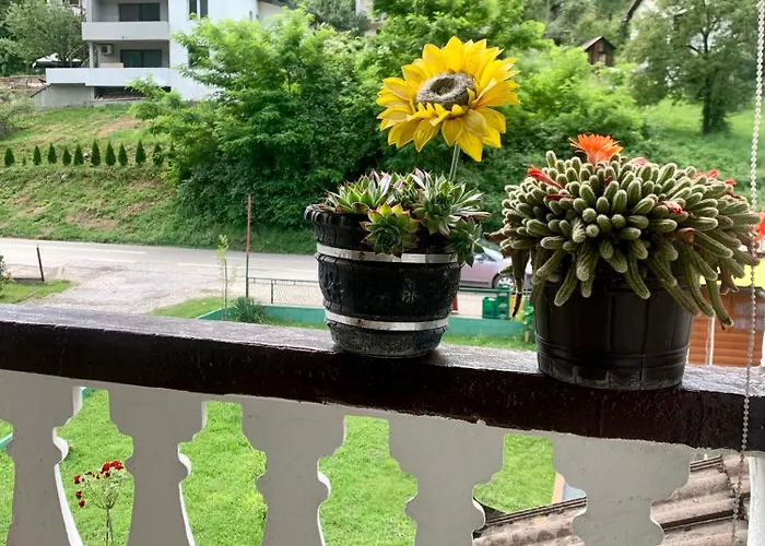 Lodge Vip Foca, Foca,