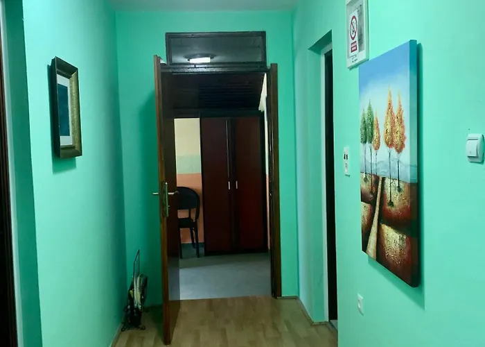 Vip Foca, Foca, Foca