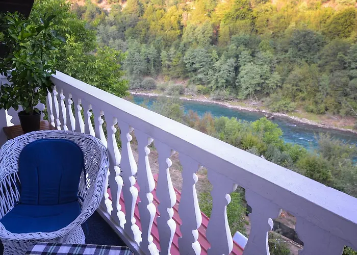 Vip Foca, Foca, Foca